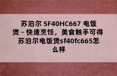 苏泊尔 SF40HC667 电饭煲 - 快速烹饪，美食触手可得 苏泊尔电饭煲sf40fc665怎么样